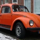 Jeans Beetle